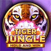 Hình ảnh aa88 casino đặt quyền riêng tư lên hàng đầu